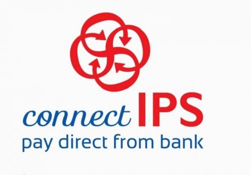 कनेक्ट आईपीएसमार्फत कारोबार बढ्दै